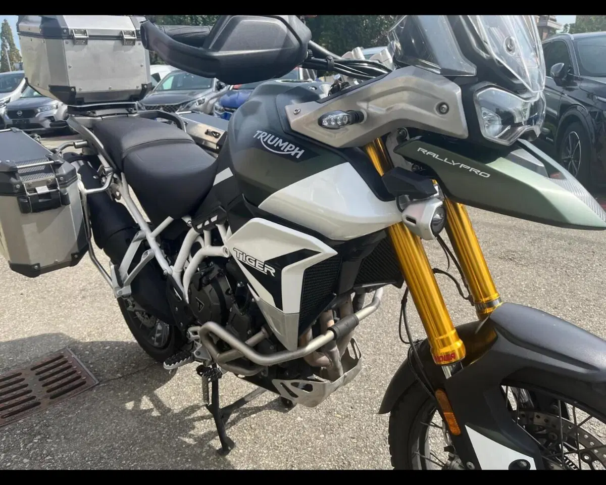 Triumph Tiger 900 Rally Pro (2020 - 23) (10)