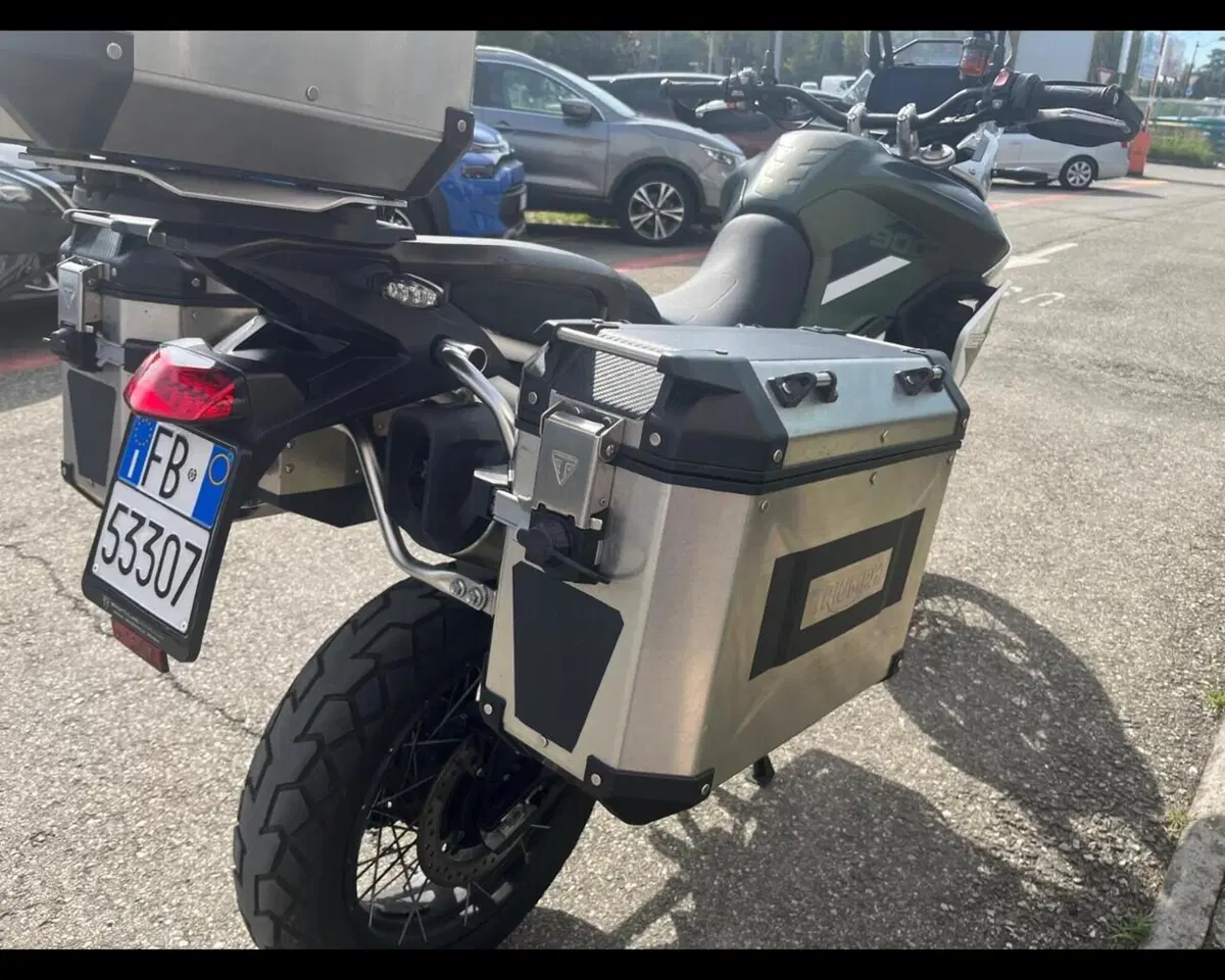 Triumph Tiger 900 Rally Pro (2020 - 23) (11)