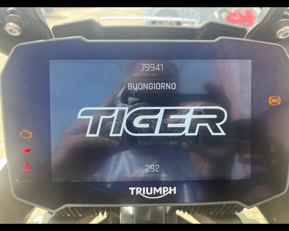 Triumph Tiger 900 Rally Pro (2020 - 23) (14)