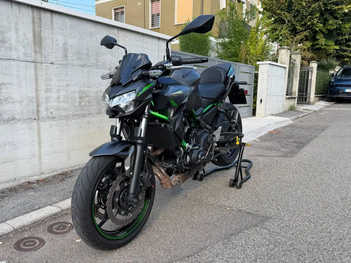 Kawasaki Z 650 (2021 - 24)