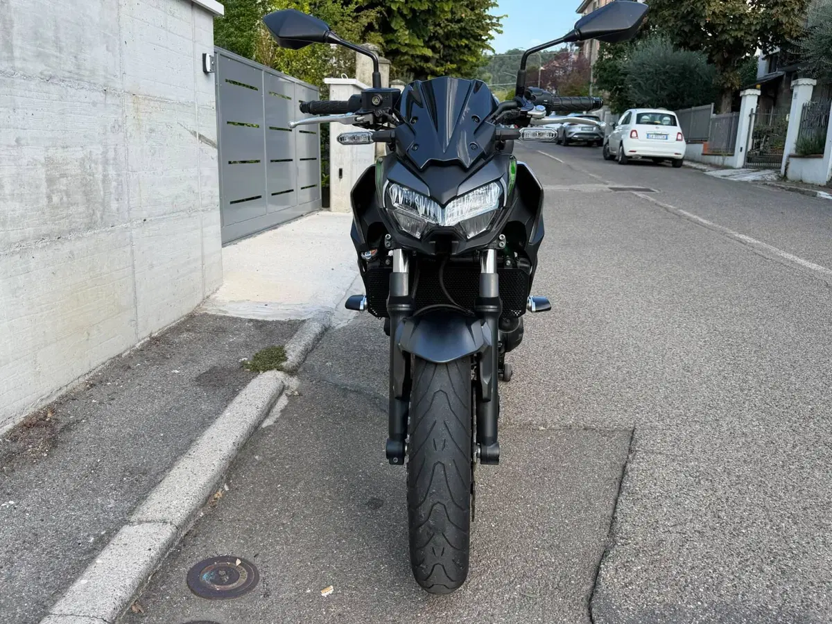 Kawasaki Z 650 (2021 - 24) (5)