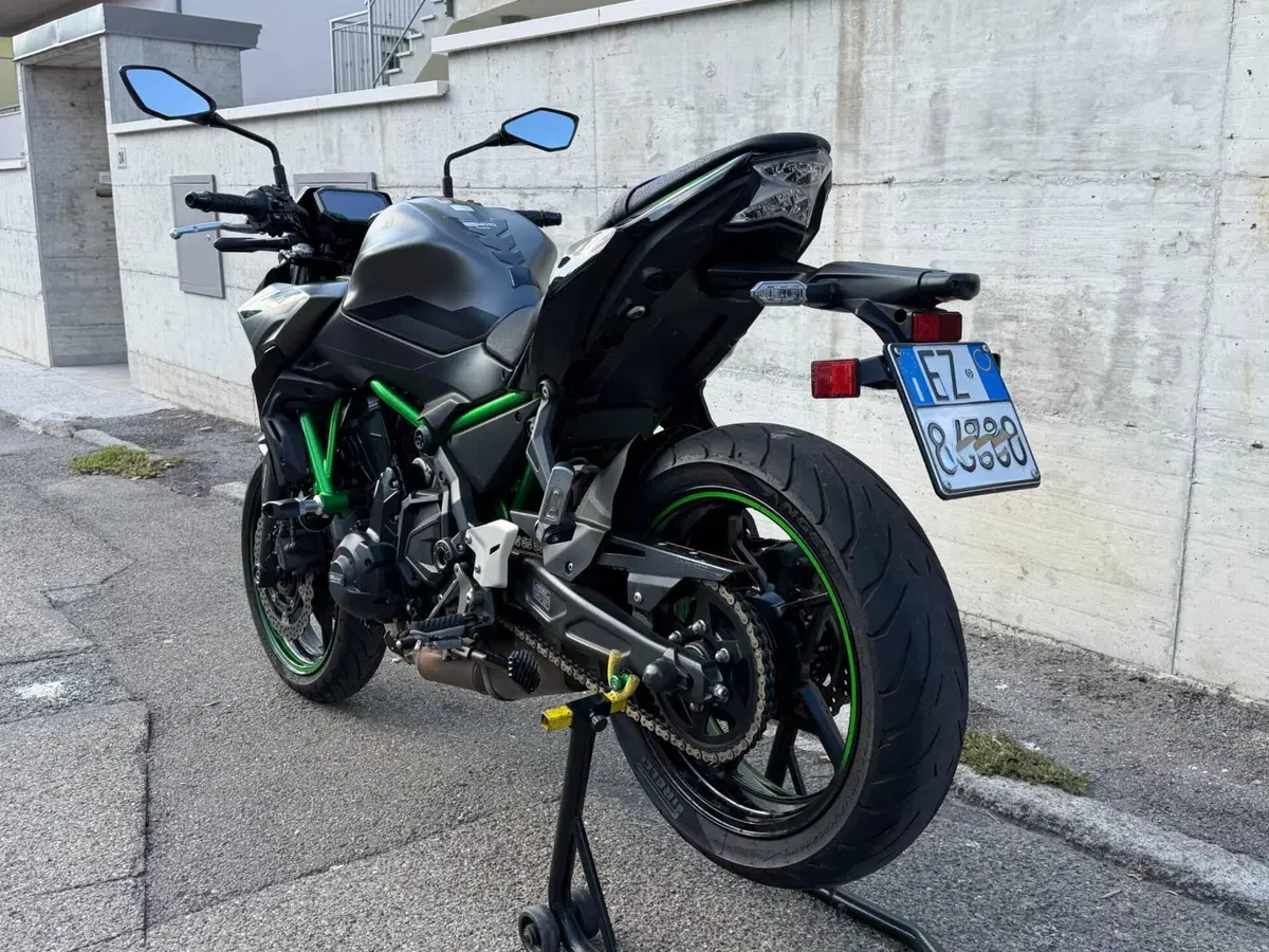 Kawasaki Z 650 (2021 - 24) (6)