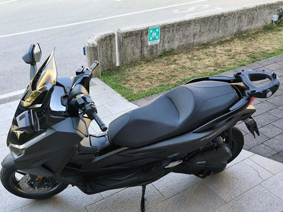 Honda Forza 125 (2023 - 24) (3)