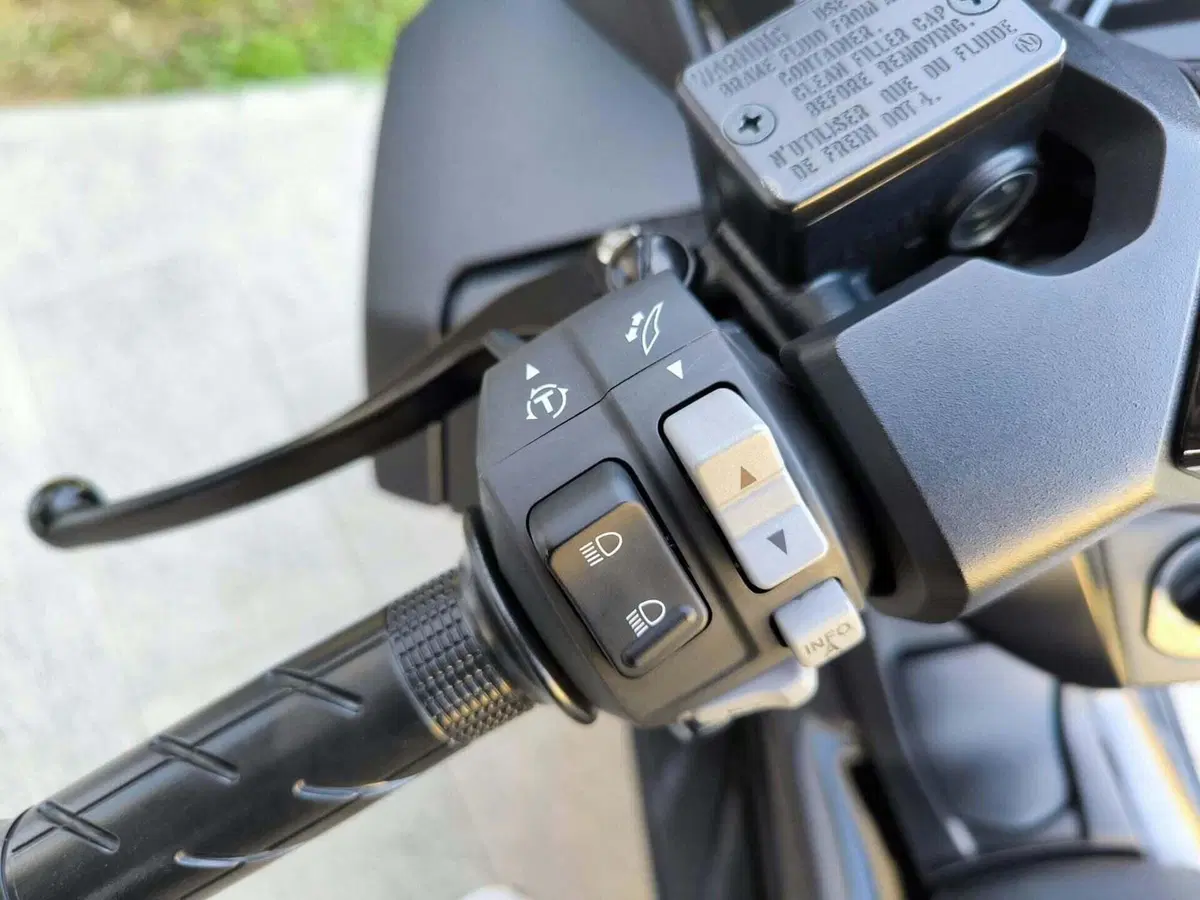 Honda Forza 125 (2023 - 24) (7)