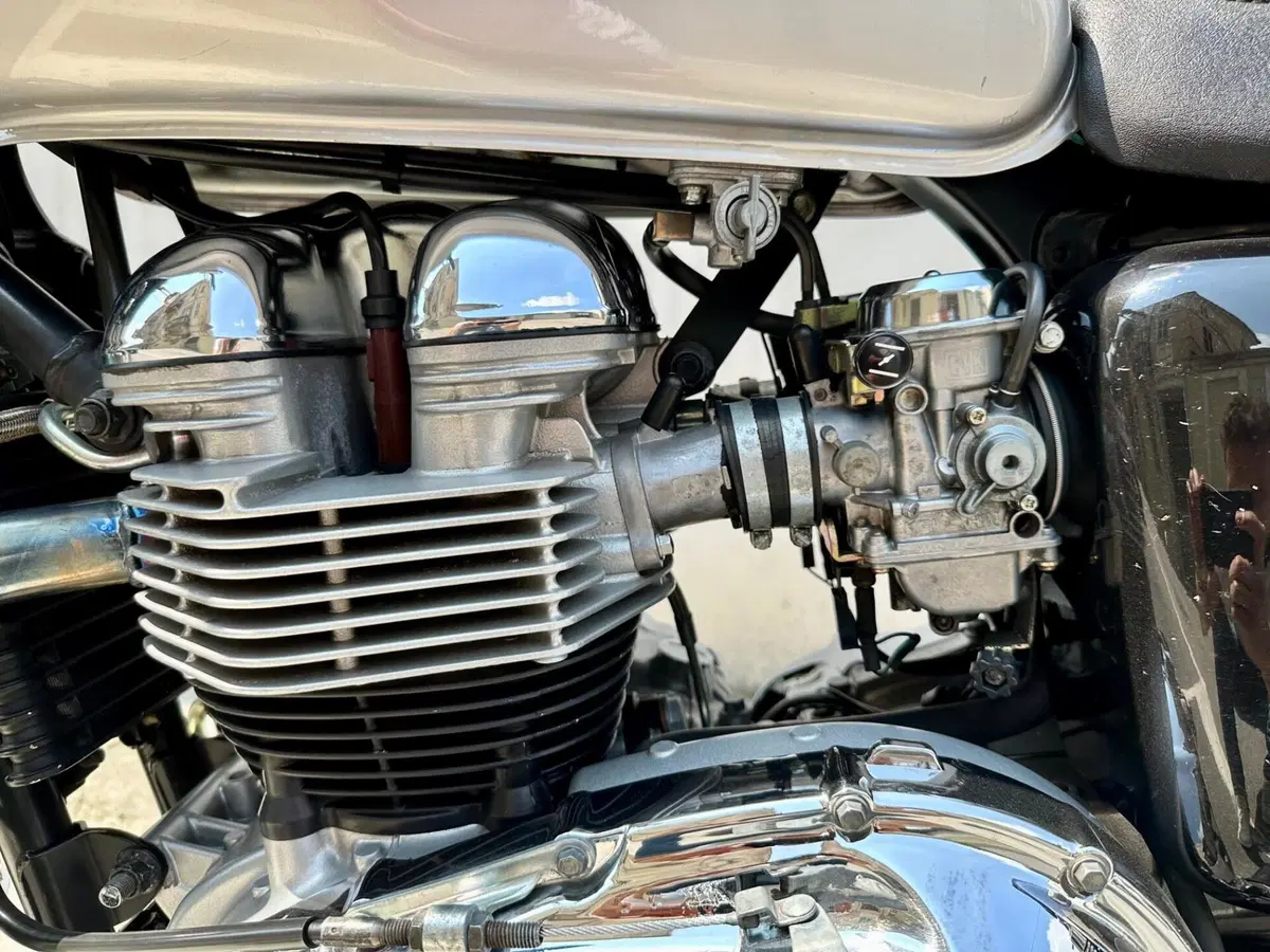 Triumph Bonneville 800 (2000 - 01) (8)