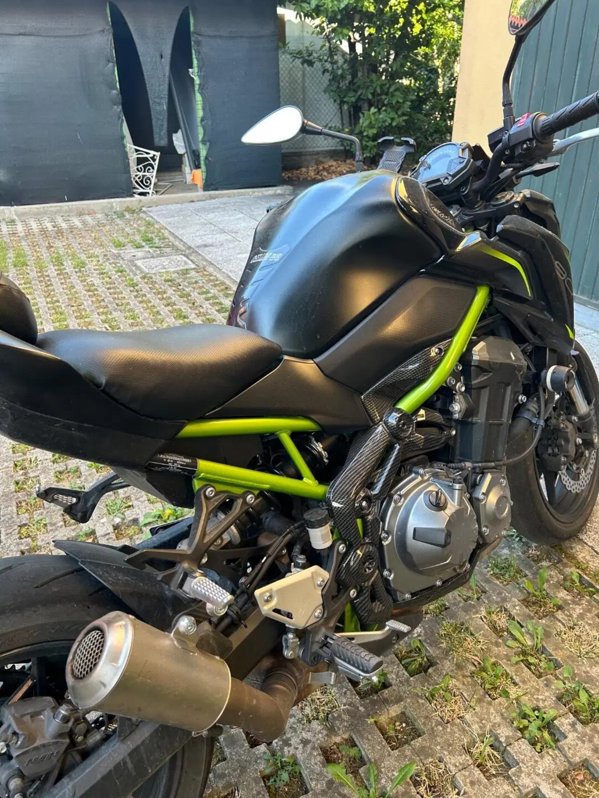 Kawasaki Z 900 A2 (2019) (2)