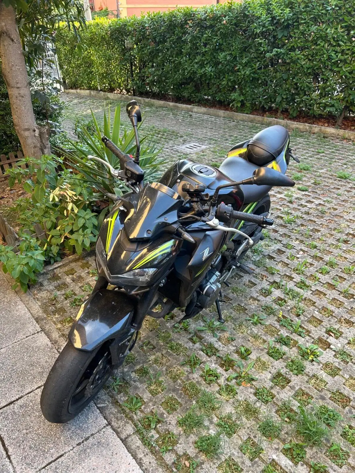 Kawasaki Z 900 A2 (2019) (4)