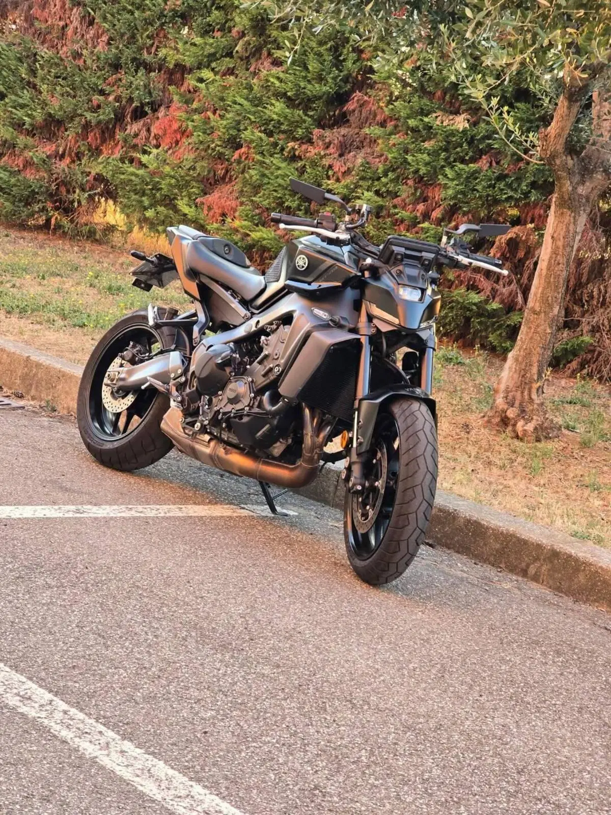 Yamaha MT-09 (2024 - 26) (4)