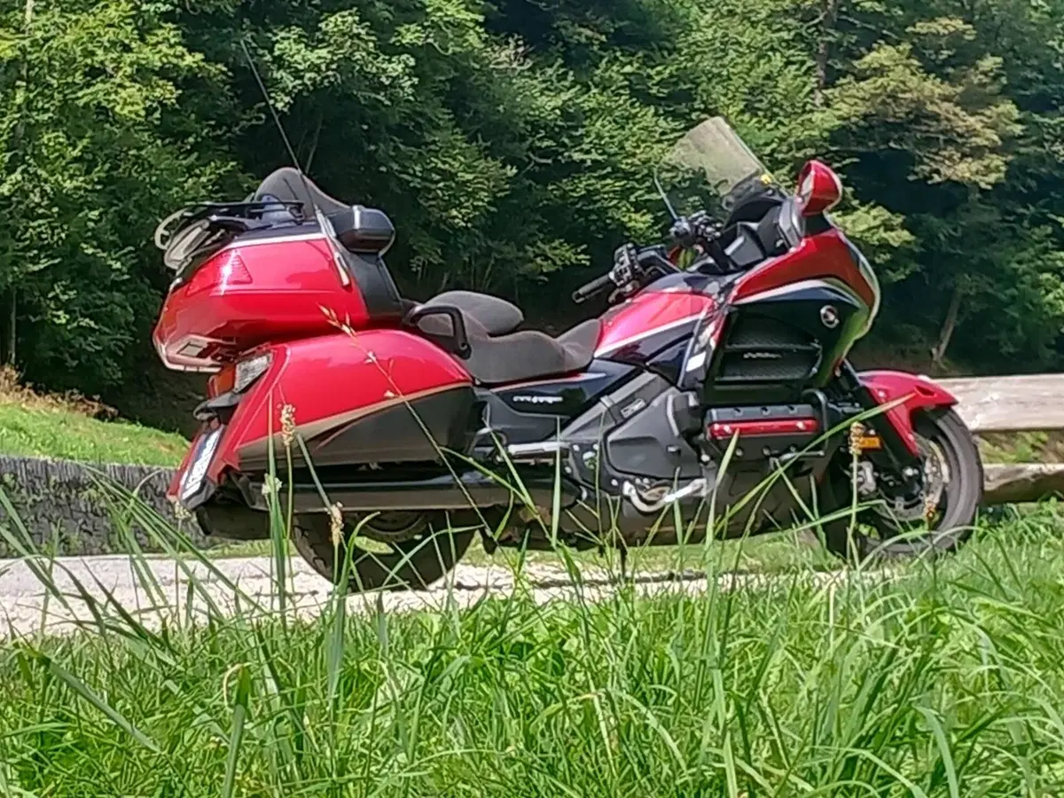 Honda GL 1800 Gold Wing (2012 - 17) (6)