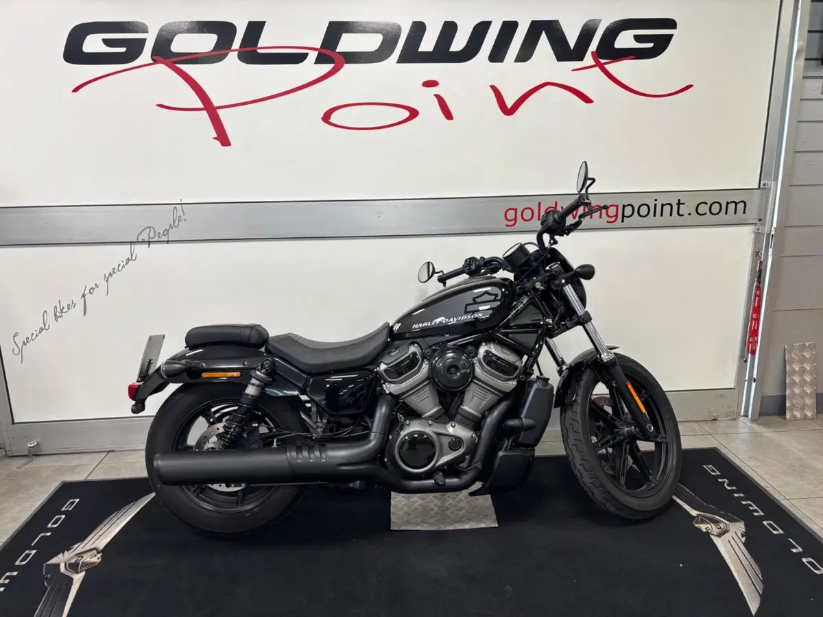 Harley-Davidson Nightster (2023 - 26)
