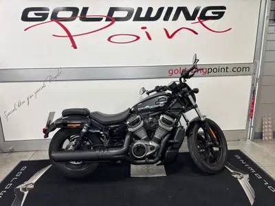 Harley-Davidson Nightster (2023 - 26) usata