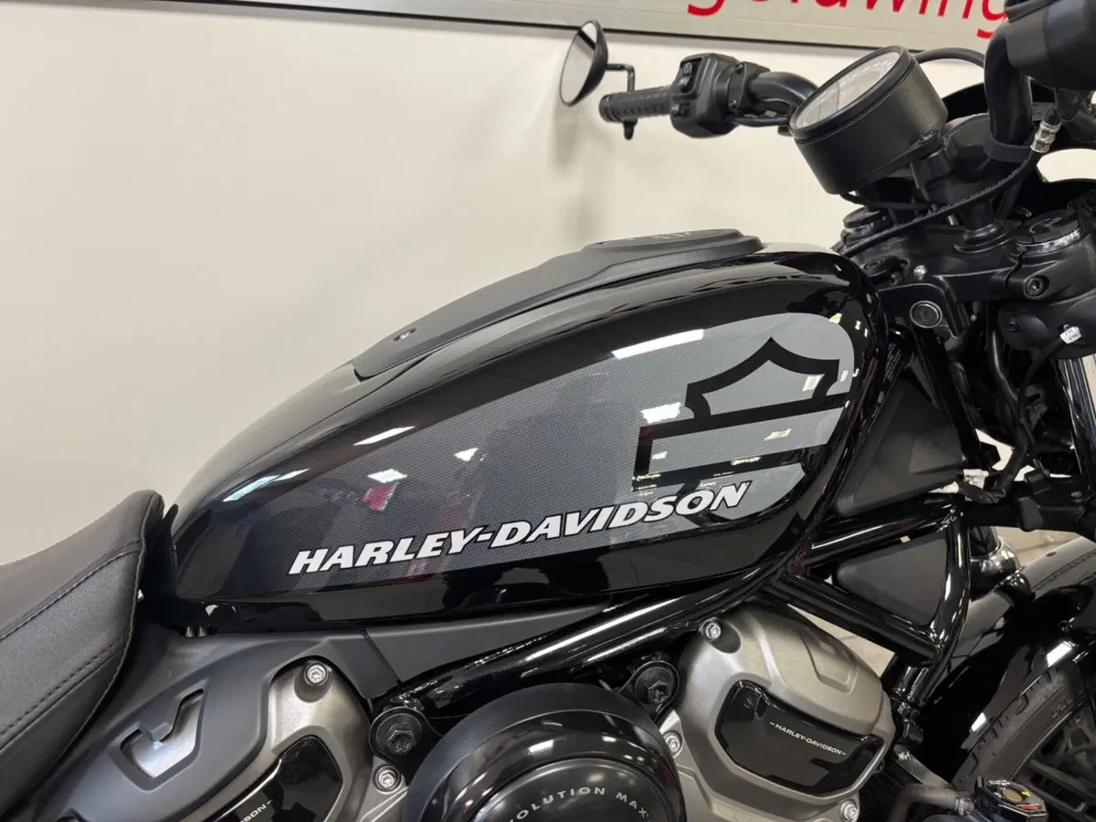 Harley-Davidson Nightster (2023 - 26) (2)