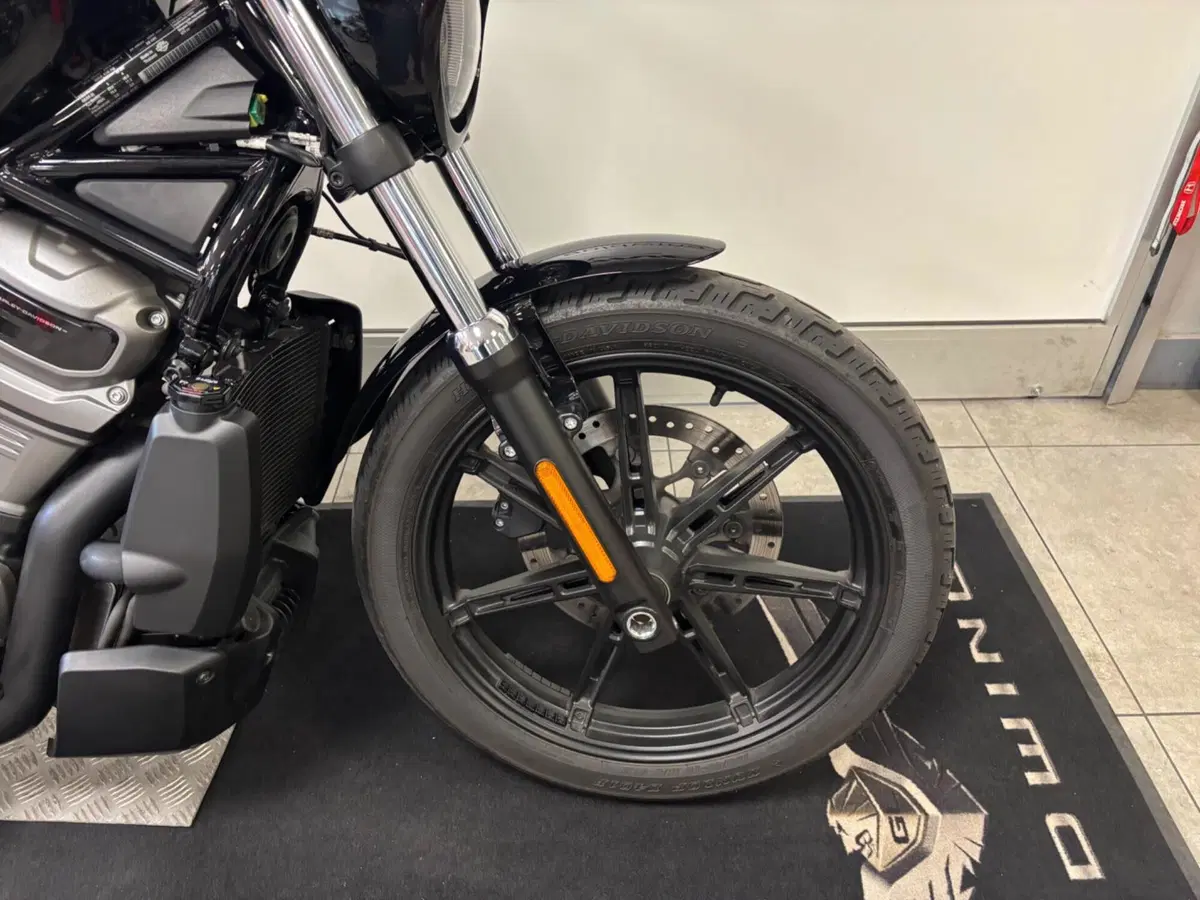 Harley-Davidson Nightster (2023 - 26) (3)