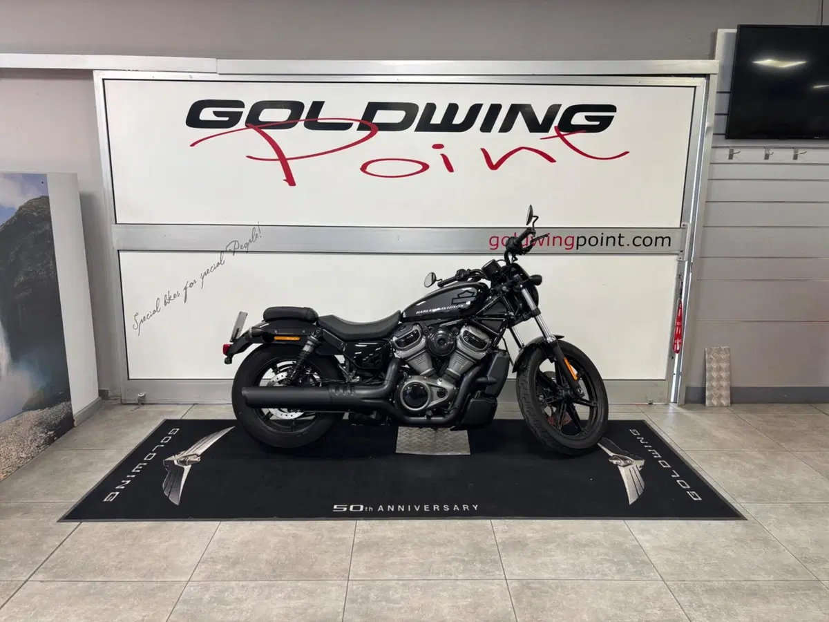 Harley-Davidson Nightster (2023 - 26) (4)