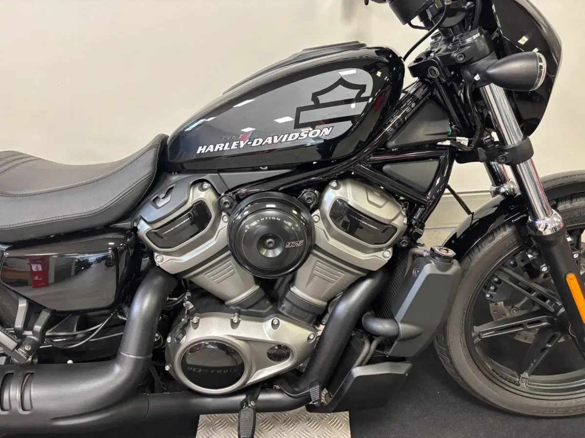Harley-Davidson Nightster (2023 - 26) (5)