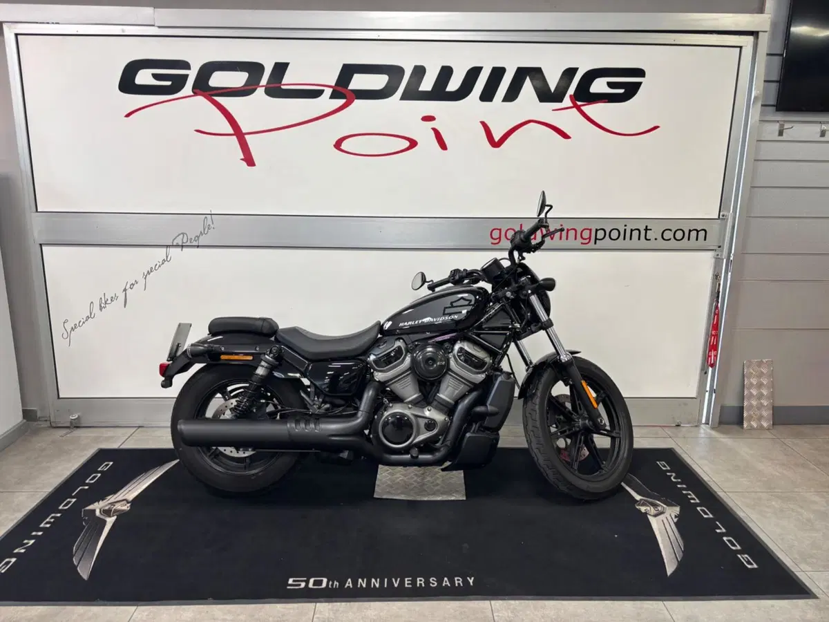 Harley-Davidson Nightster (2023 - 26) (7)