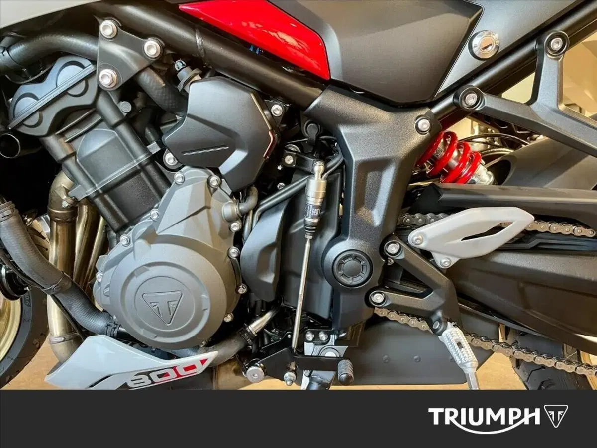 Triumph Trident 800 (2026) (3)