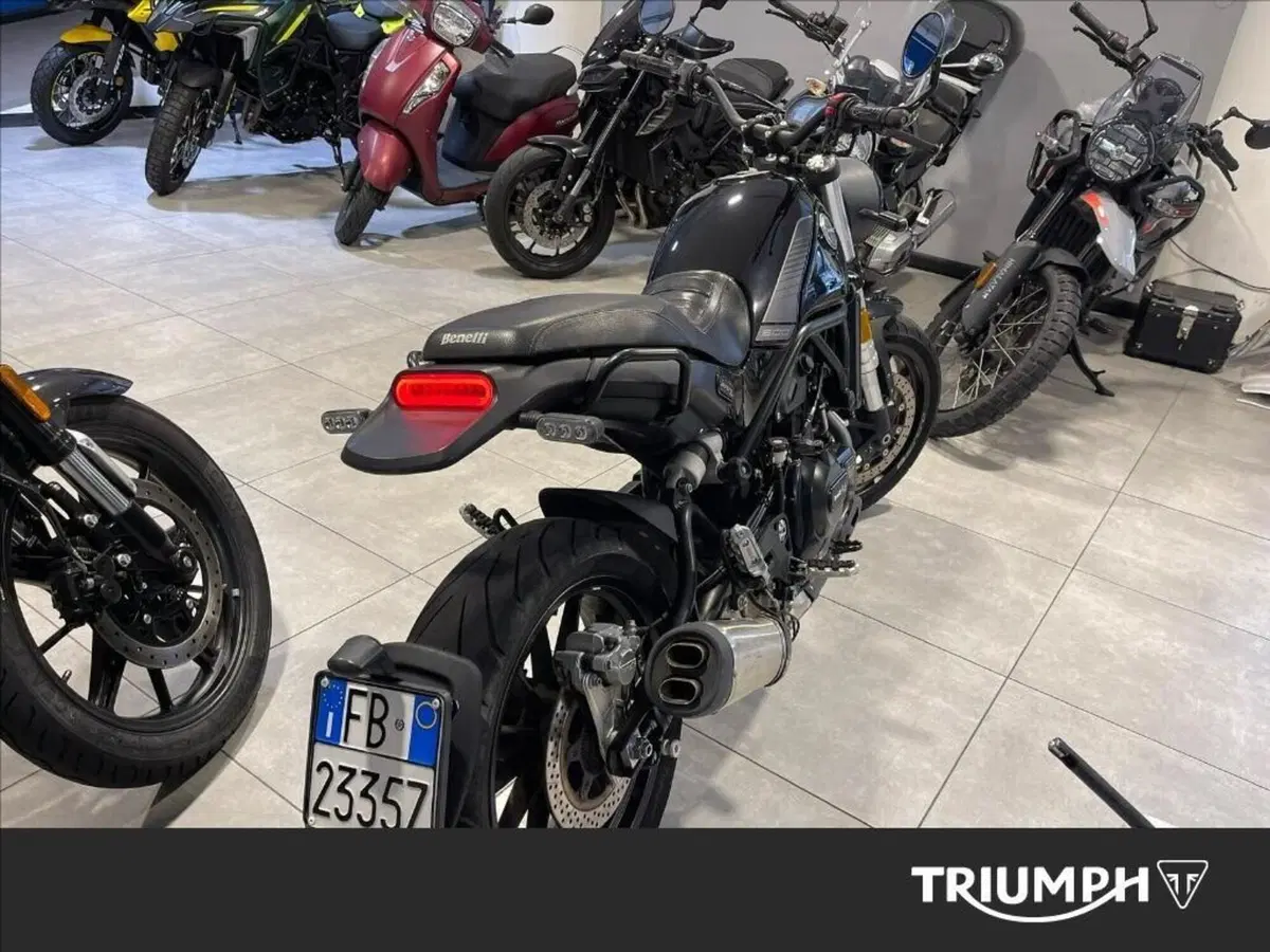 Benelli Leoncino 500 (2021 - 25) (2)