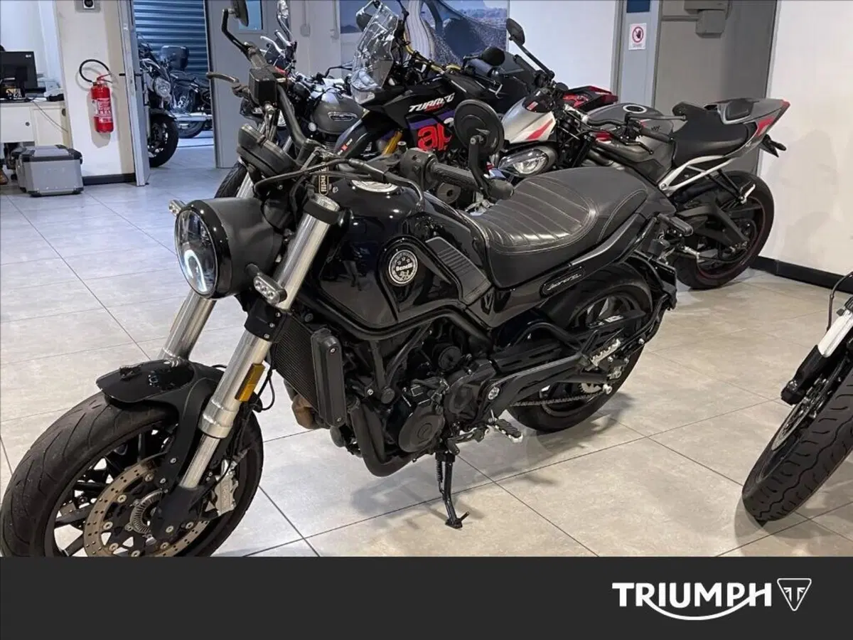 Benelli Leoncino 500 (2021 - 25) (3)