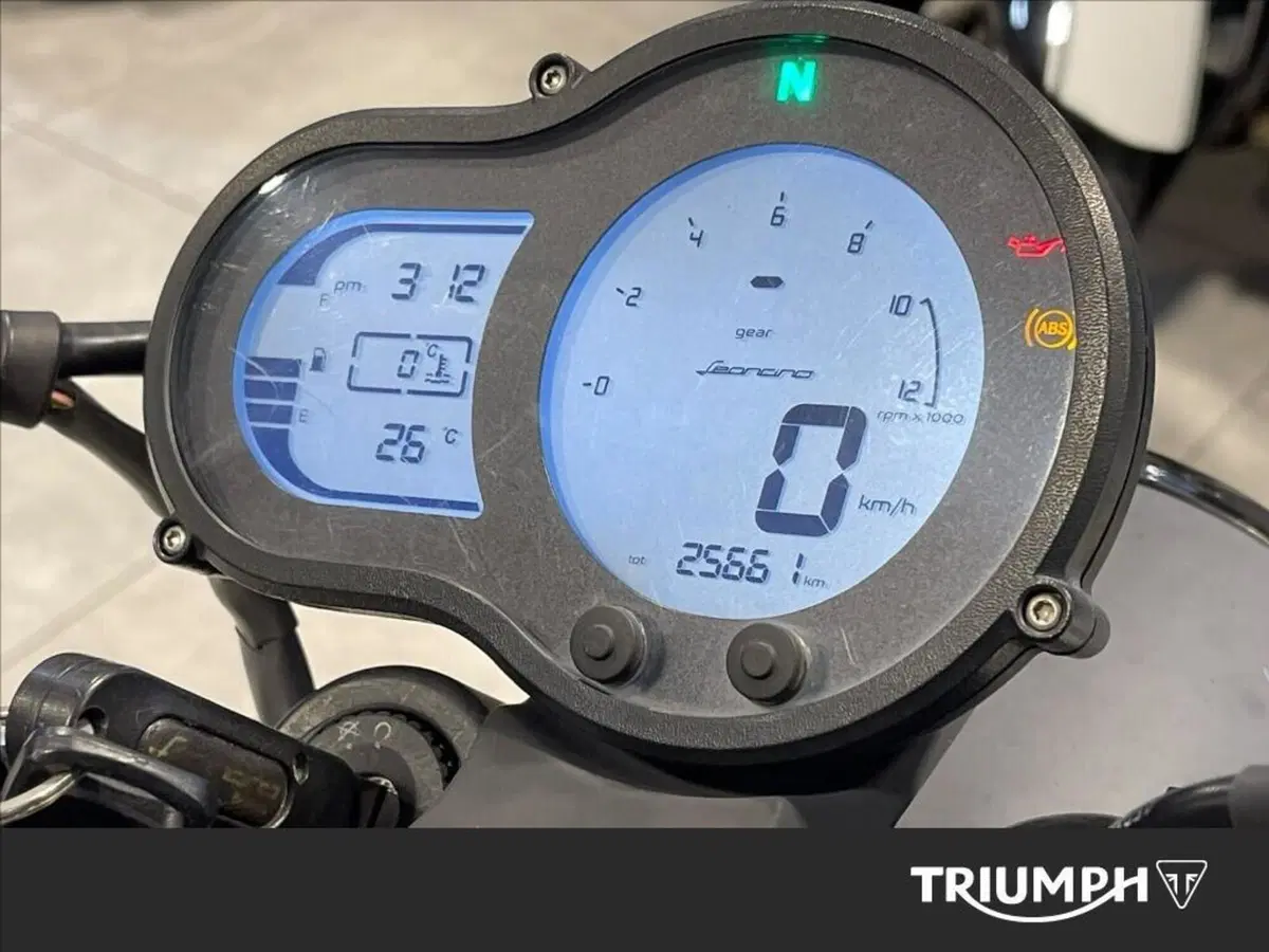 Benelli Leoncino 500 (2021 - 25) (4)