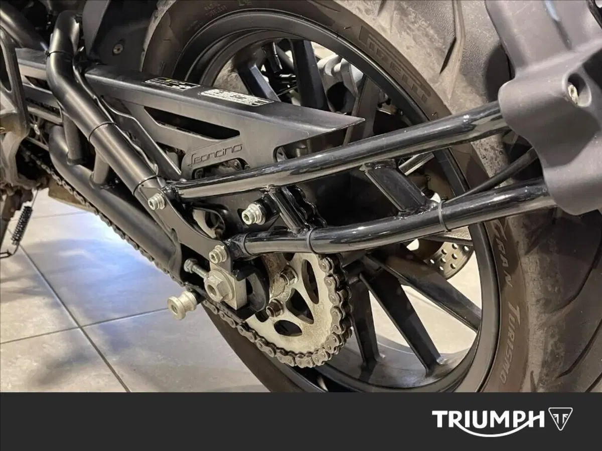 Benelli Leoncino 500 (2021 - 25) (5)