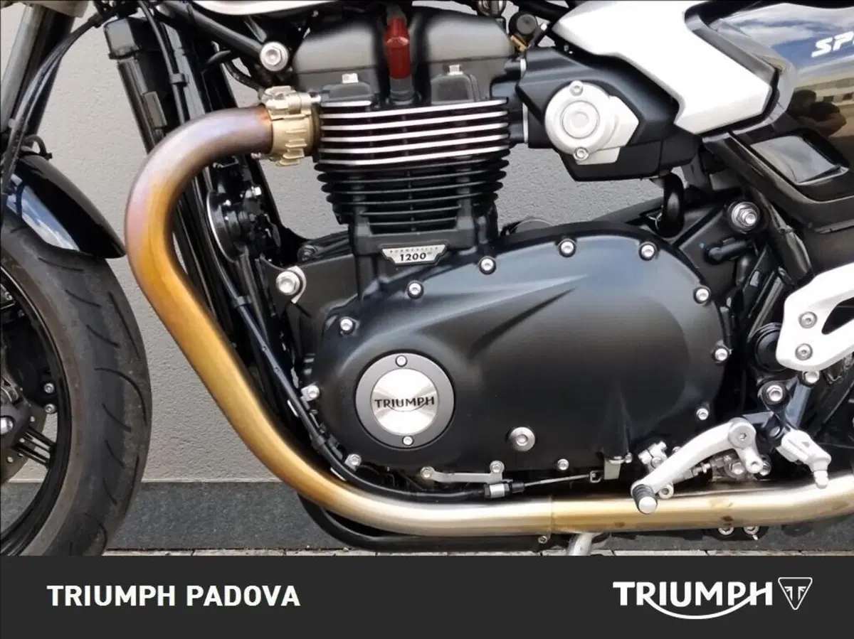 Triumph Speed Twin 1200 (2025 - 26) (8)