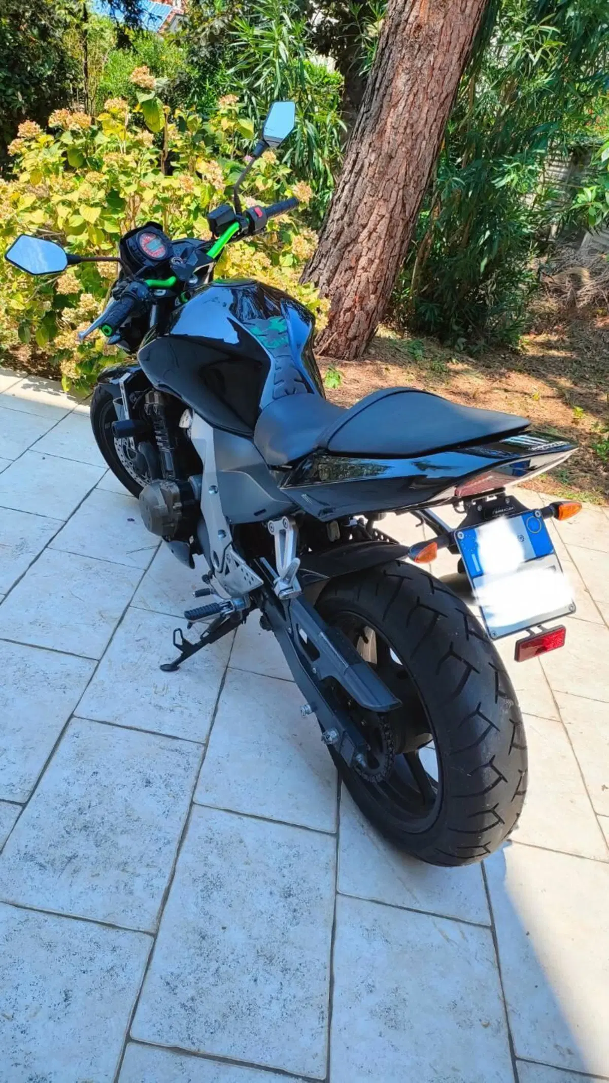 Kawasaki Z 750 (2003 - 06) (3)