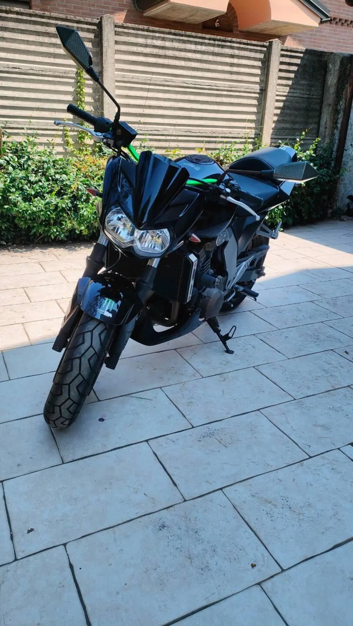 Kawasaki Z 750 (2003 - 06) (4)