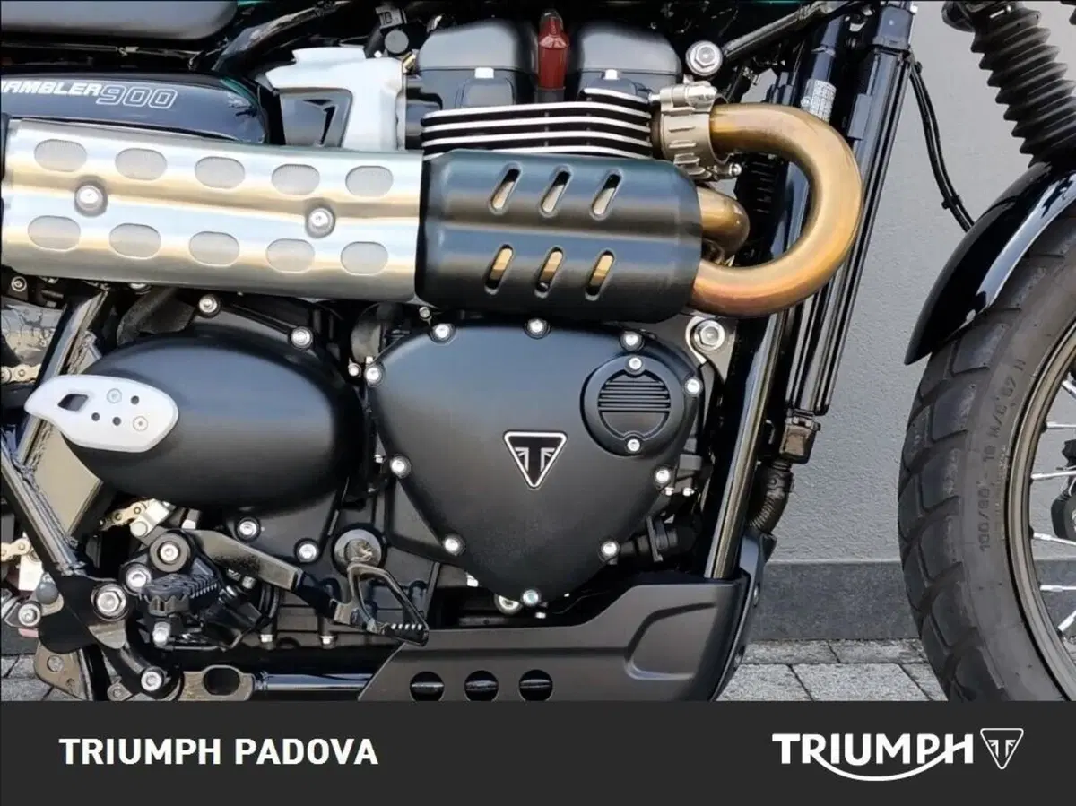 Triumph Scrambler 900 (2023 - 25) (3)