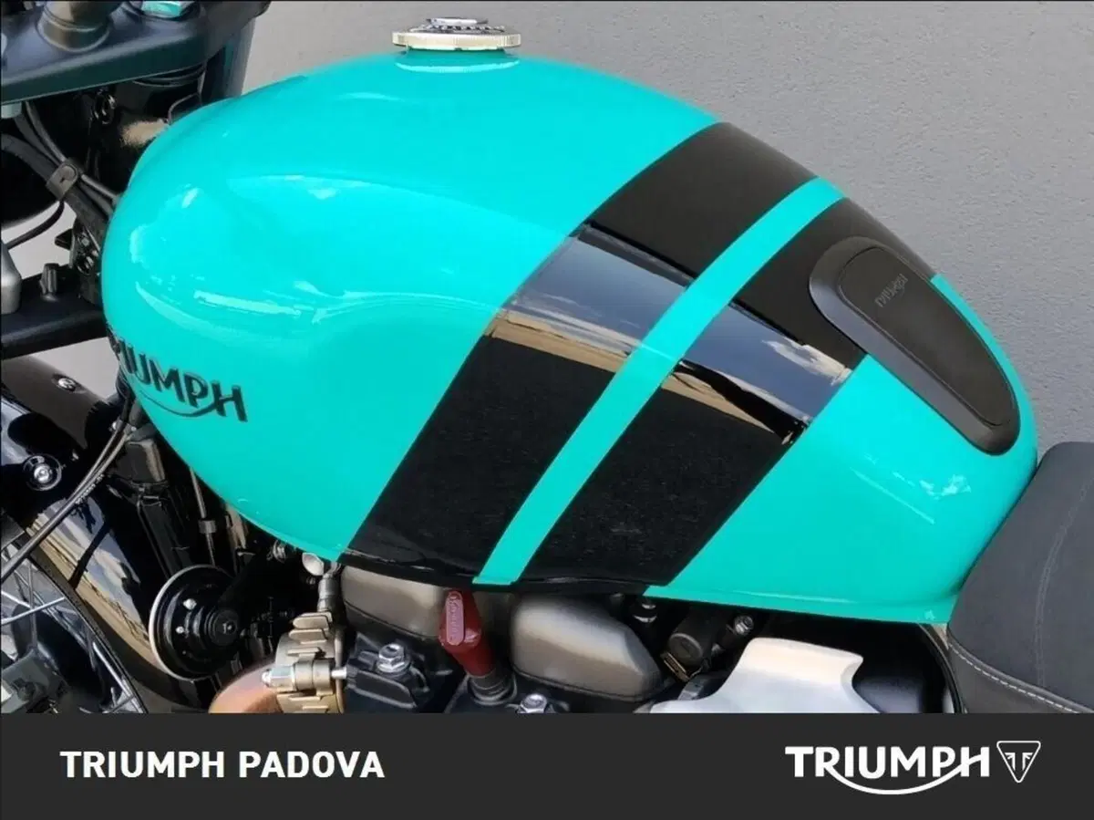 Triumph Scrambler 900 (2023 - 25) (9)