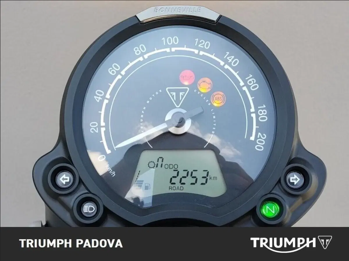 Triumph Scrambler 900 (2023 - 25) (13)