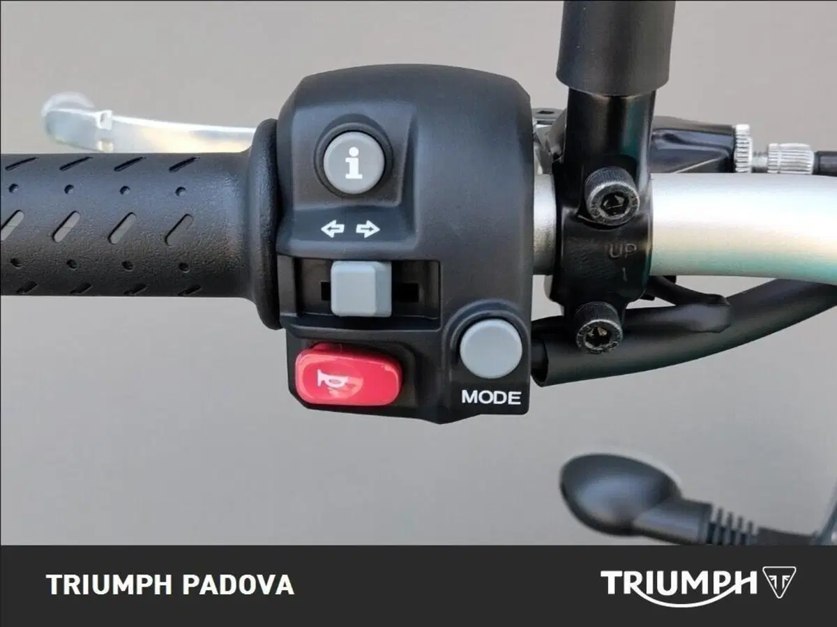 Triumph Scrambler 900 (2023 - 25) (12)