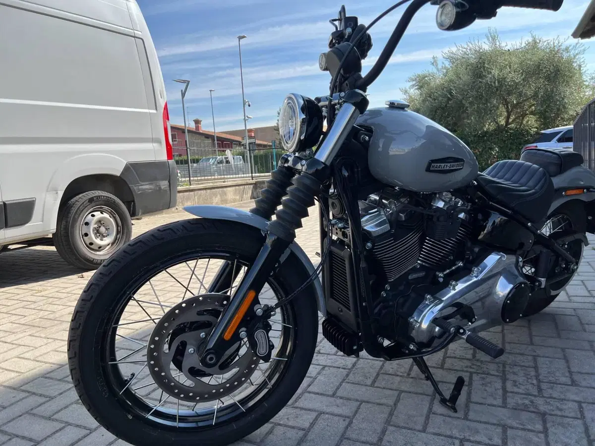 Harley-Davidson Street Bob 117 (2025 - 26) (2)