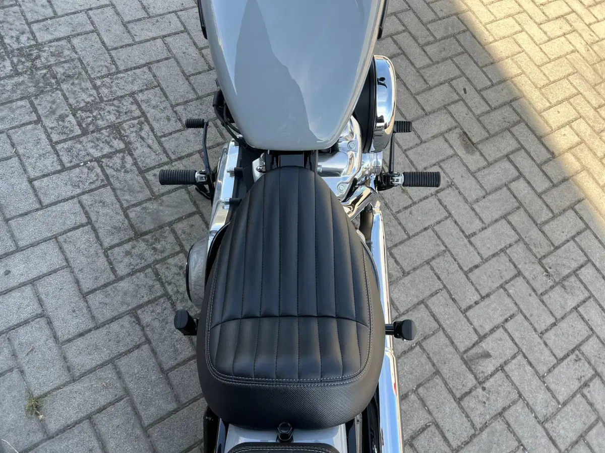 Harley-Davidson Street Bob 117 (2025 - 26) (4)
