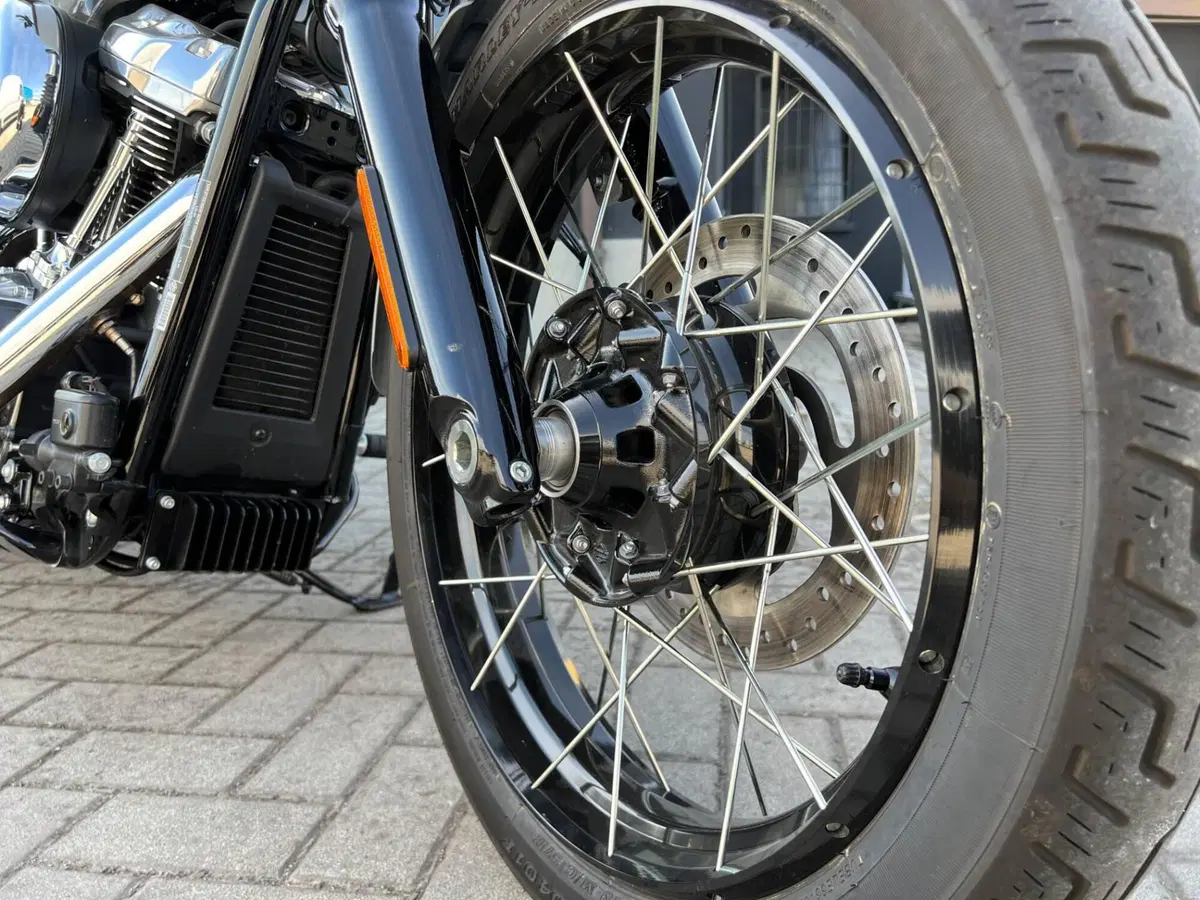 Harley-Davidson Street Bob 117 (2025 - 26) (6)