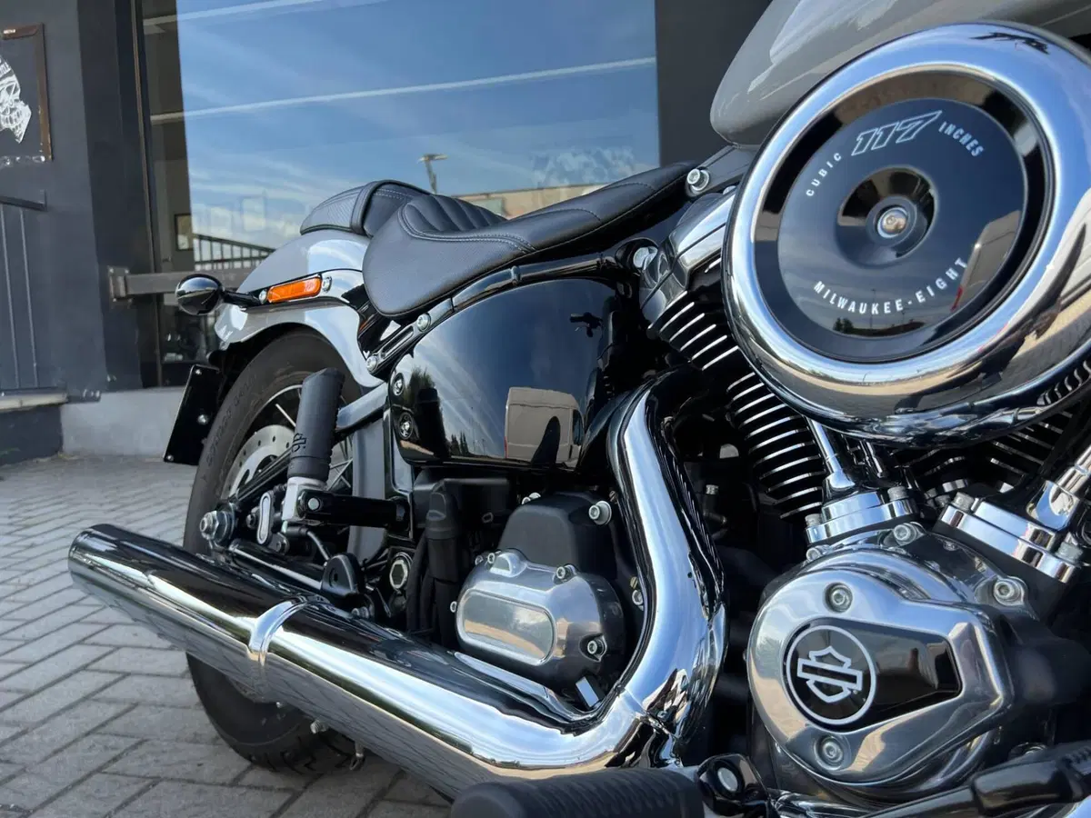 Harley-Davidson Street Bob 117 (2025 - 26) (7)