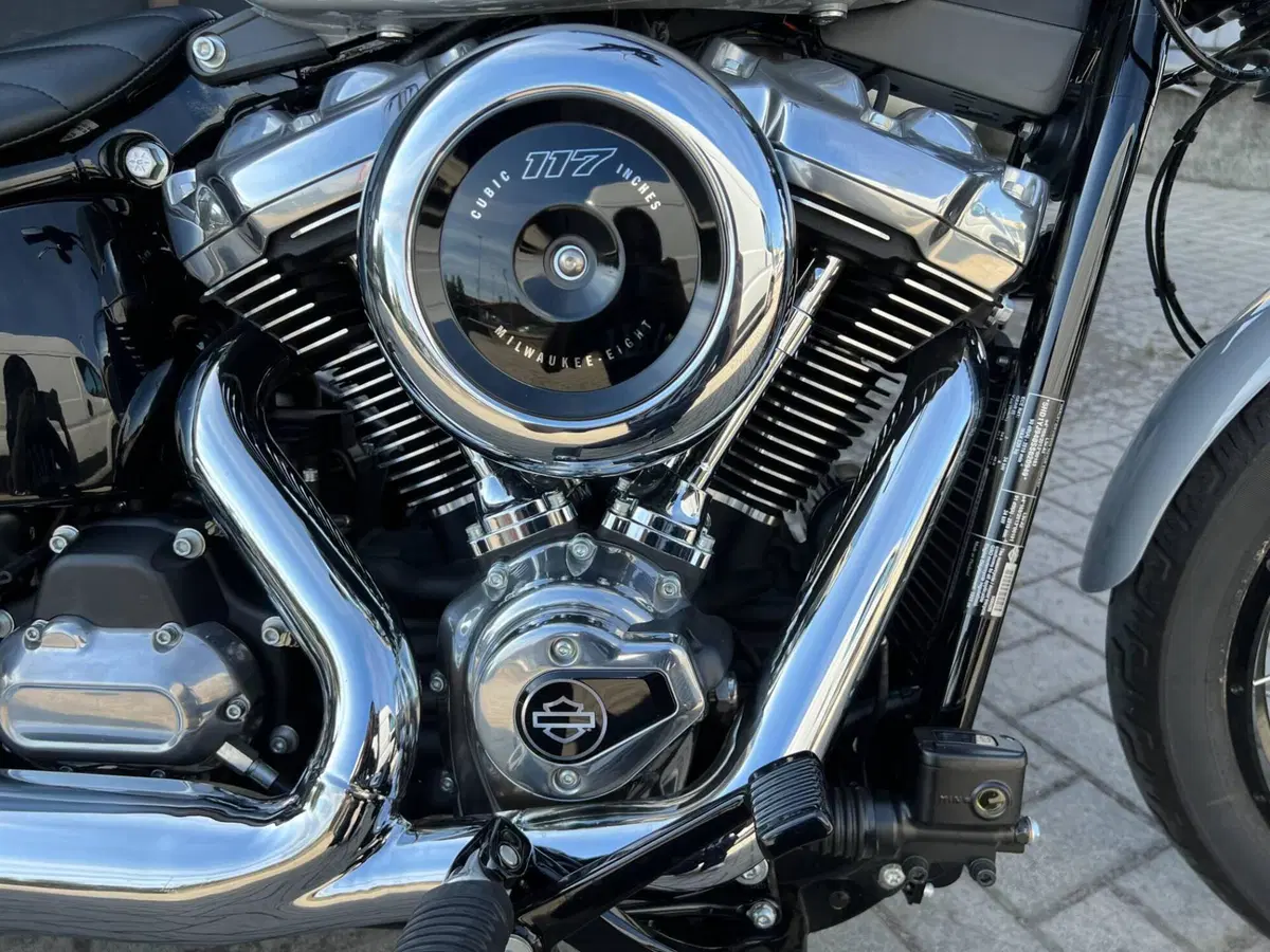 Harley-Davidson Street Bob 117 (2025 - 26) (8)