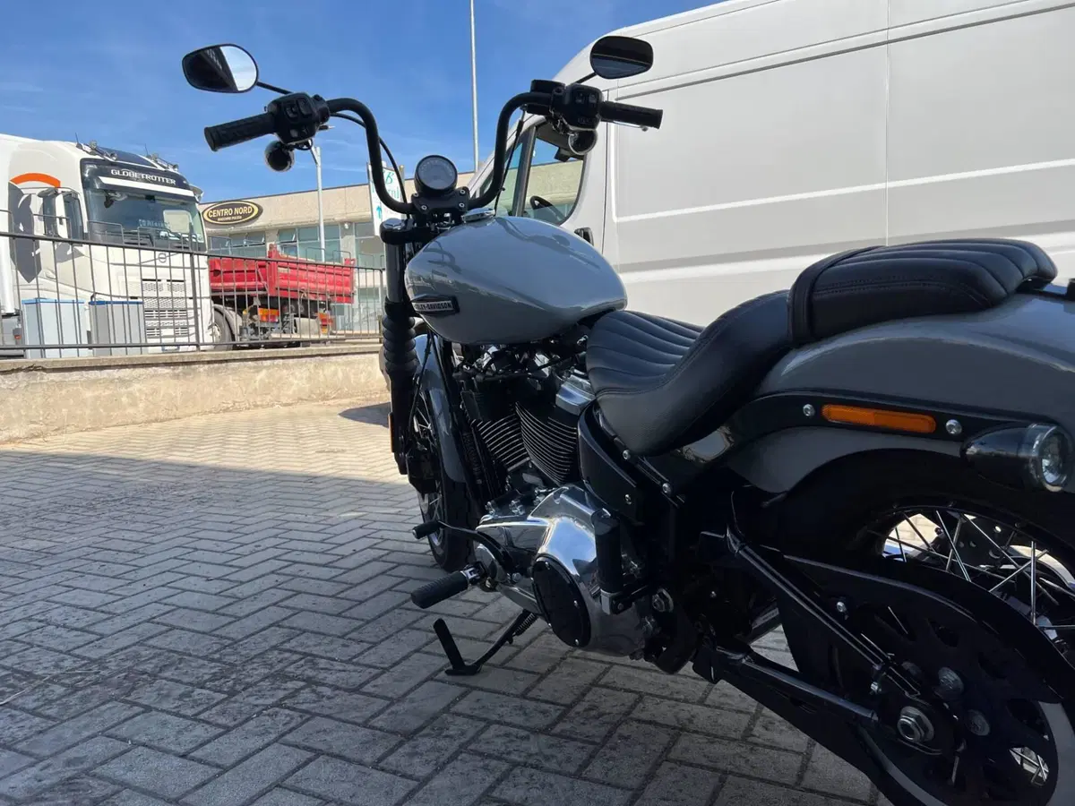 Harley-Davidson Street Bob 117 (2025 - 26) (9)