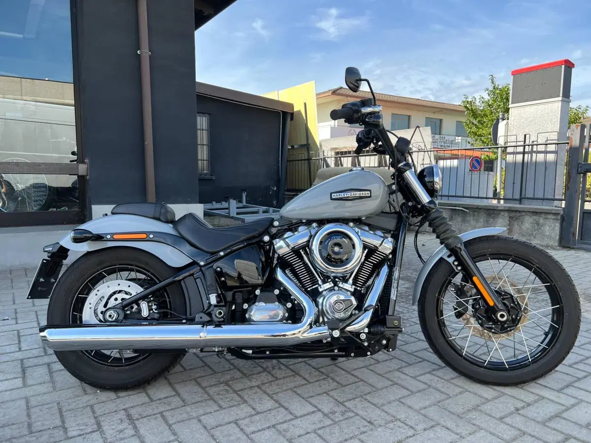 Harley-Davidson Street Bob 117 (2025 - 26) (10)
