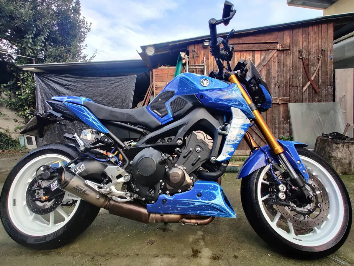 Yamaha MT-09 SP (2018 - 20) (6)