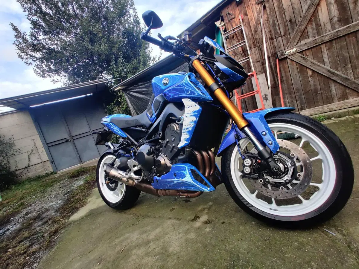 Yamaha MT-09 SP (2018 - 20) (12)