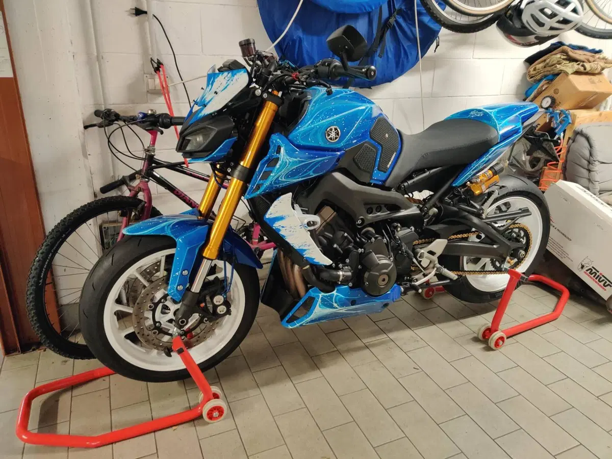 Yamaha MT-09 SP (2018 - 20) (15)