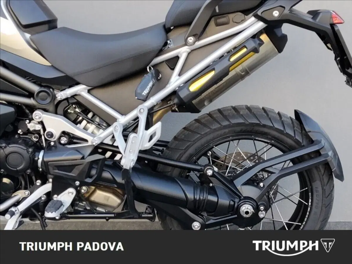 Triumph Tiger 1200 Rally Pro (2024 - 26) (7)