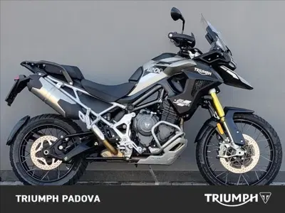 Triumph Tiger 1200 Rally Pro (2024 - 26) usata
