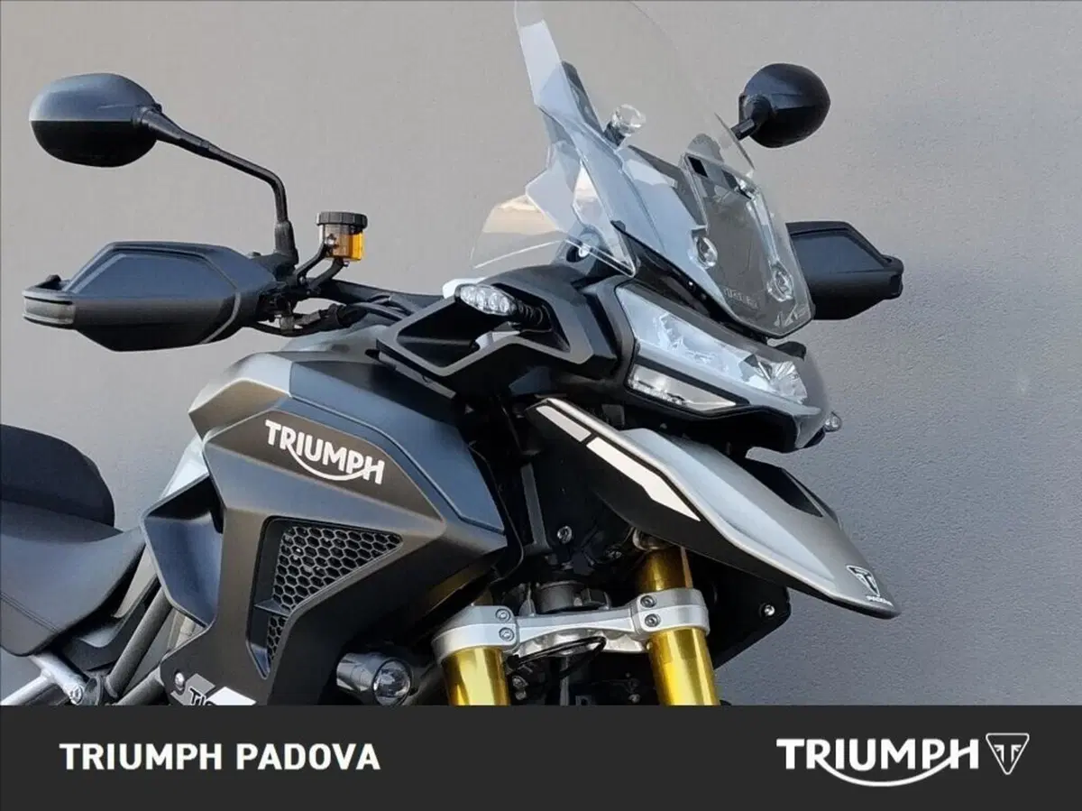 Triumph Tiger 1200 Rally Pro (2024 - 26) (5)