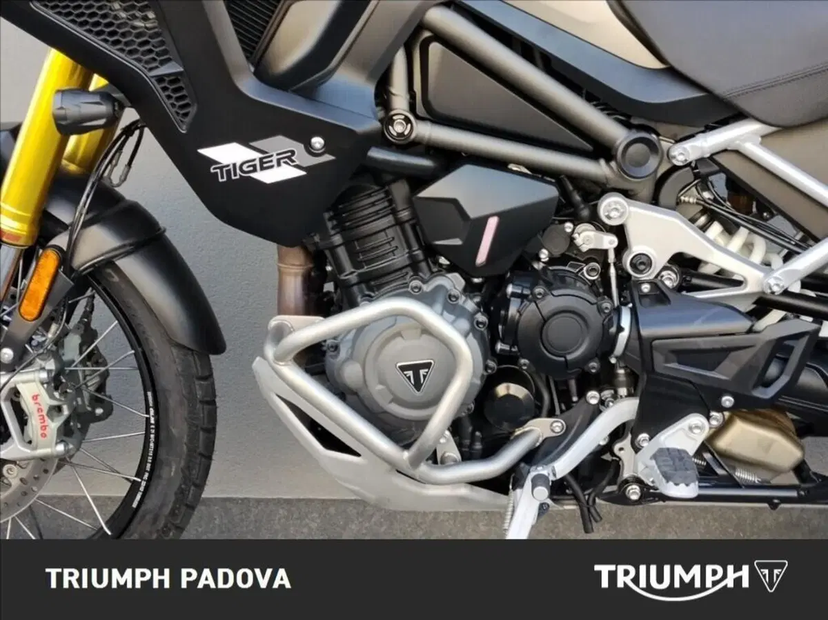 Triumph Tiger 1200 Rally Pro (2024 - 26) (8)