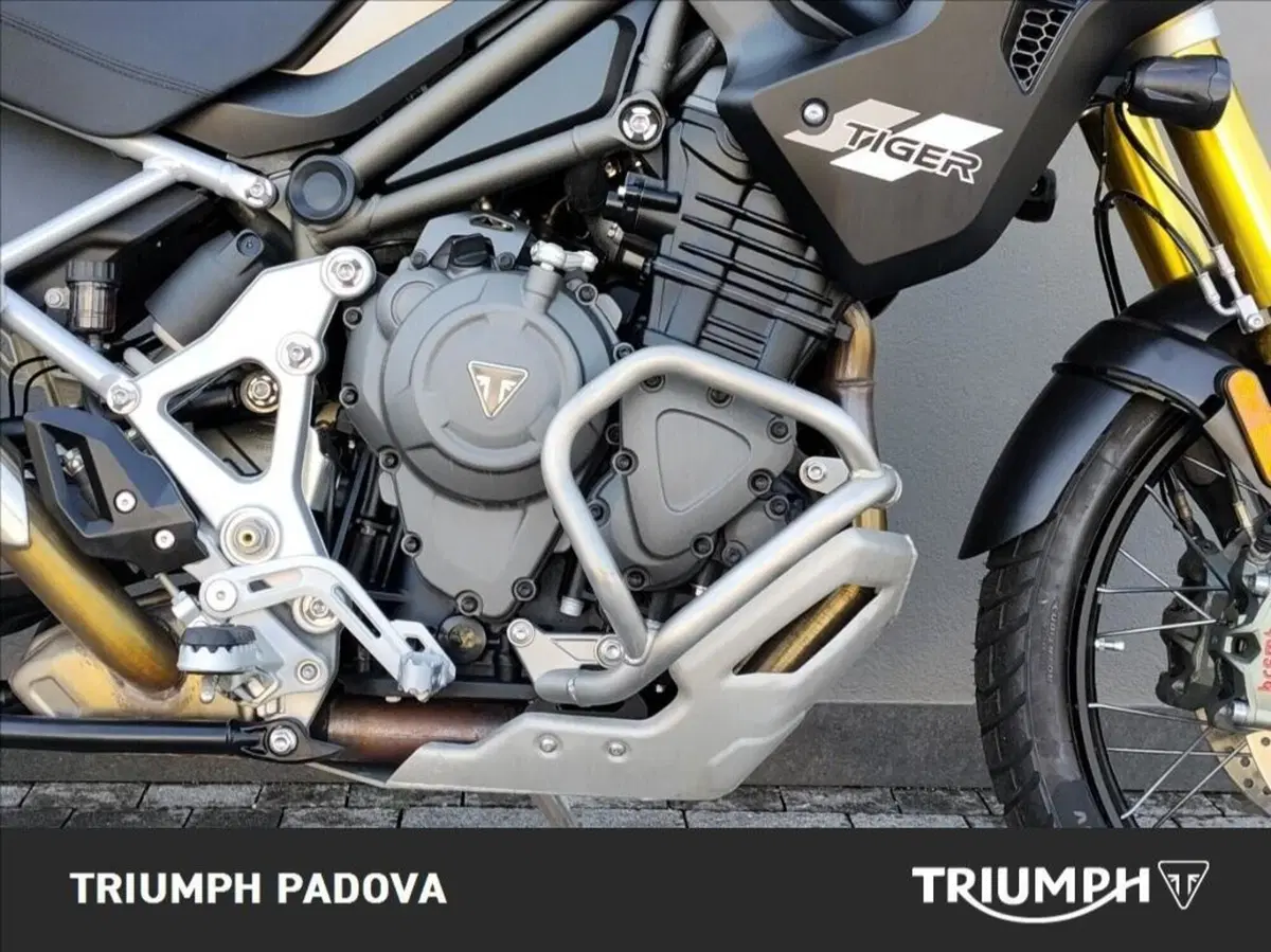 Triumph Tiger 1200 Rally Pro (2024 - 26) (3)