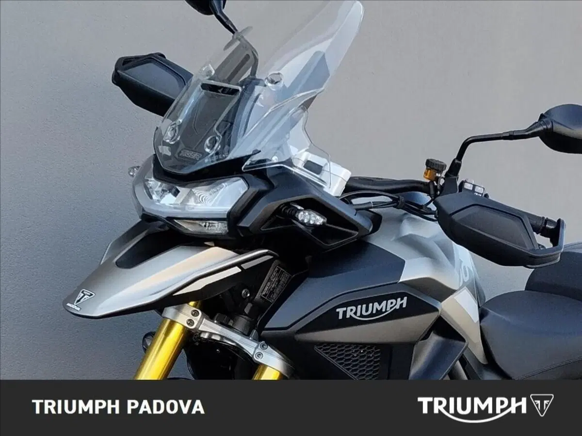Triumph Tiger 1200 Rally Pro (2024 - 26) (10)