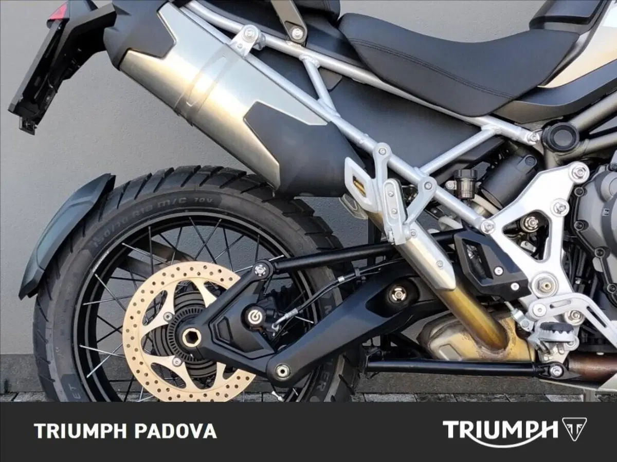 Triumph Tiger 1200 Rally Pro (2024 - 26) (2)