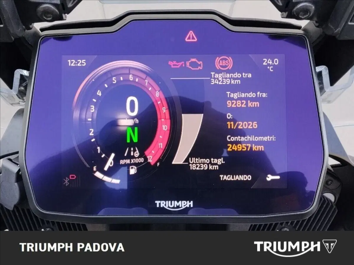 Triumph Tiger 1200 Rally Pro (2024 - 26) (13)